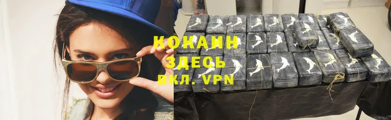 блэк спрут   продажа наркотиков  Новороссийск  Cocaine Перу 